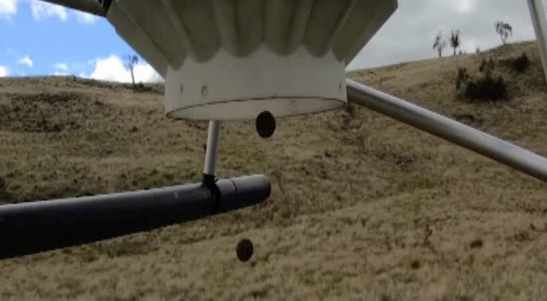 Drone seeding – does it have the edge over down-to-earth techniques ...
