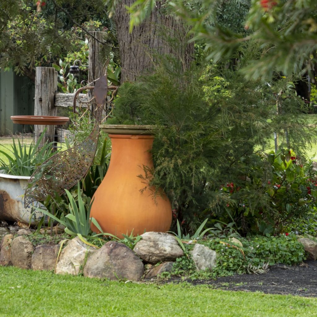 _6193681HDR Australian Plants Society