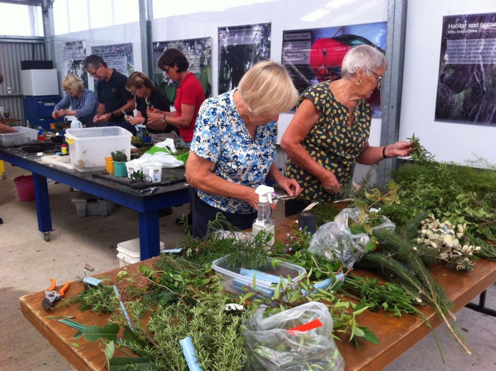 Nowra Plant Prop.JPG Australian Plants Society