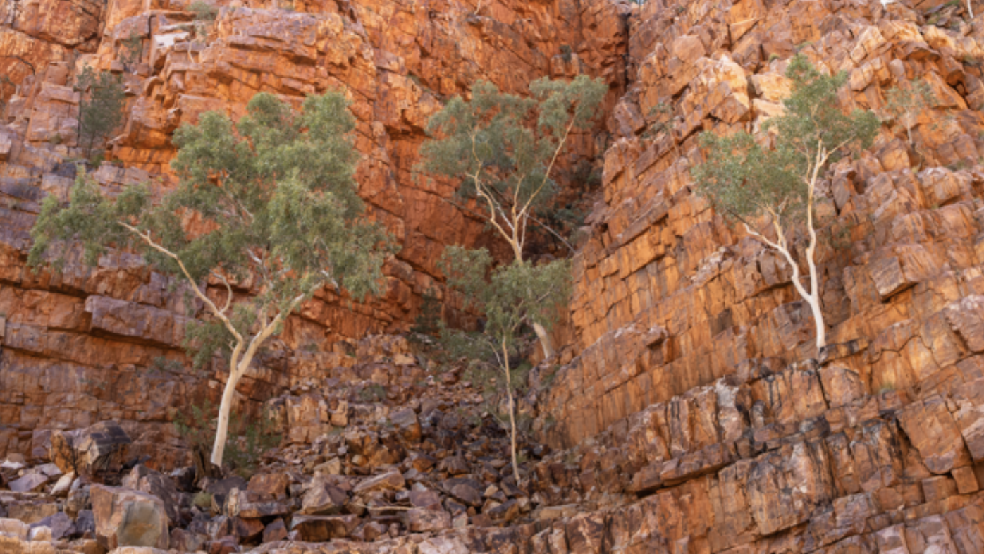 Remote and beautiful, Ormiston Pound, Northern Territory, as an example of the extent of landscapes that members can investigate (image from H Miles).