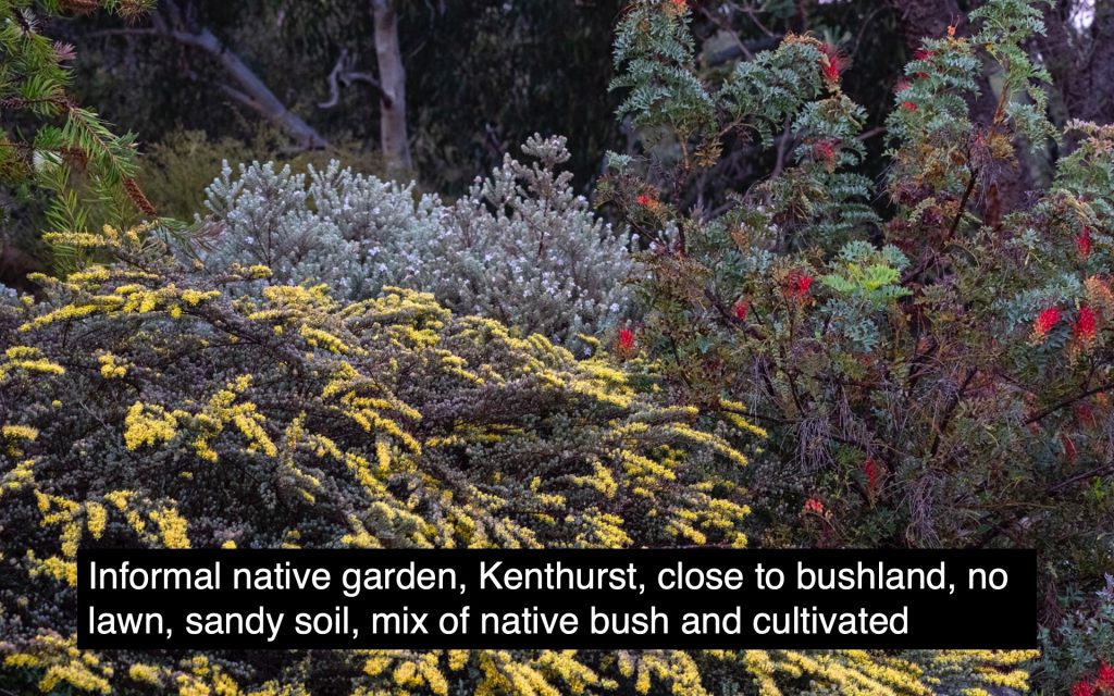 Slide32 Australian Plants Society