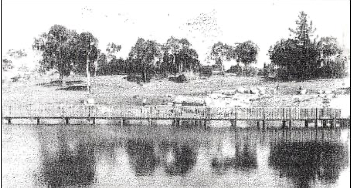 The newly completed water feature in the arboretum The newly completed water feature in the arboretum