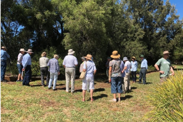 APS Armidale members looking at the northern bush garden which features Melaleucas and Callistemons.