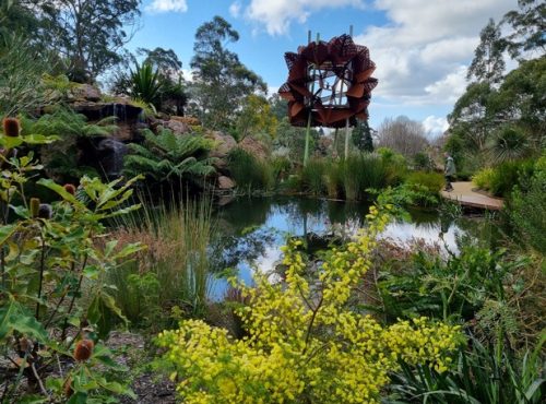 Chelsea Garden Olinda, image by Jennifer Farrer